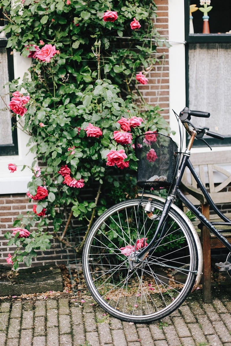 Charming Gardens